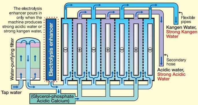 Electrolysis process in water ionizer